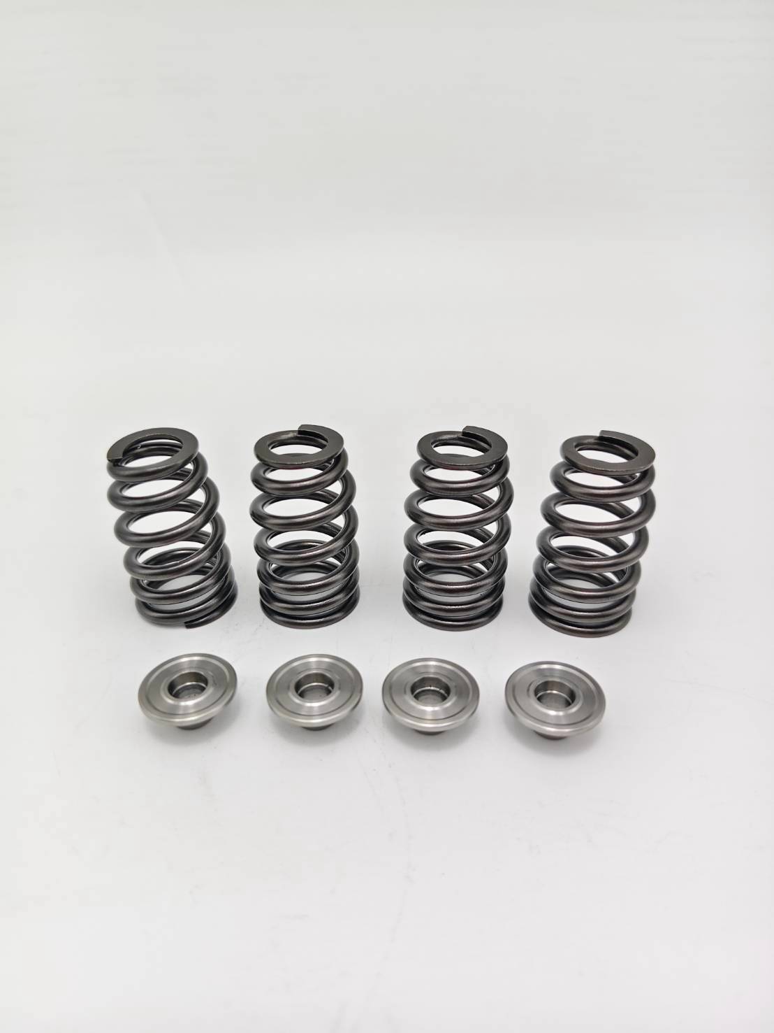 Valve Spring Kit