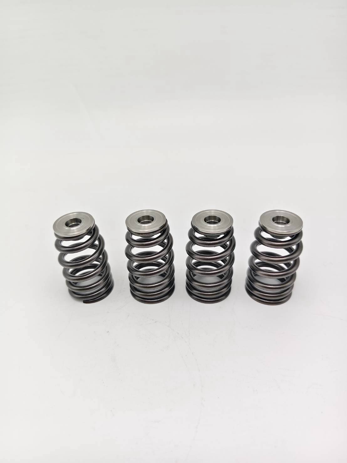 Valve Spring Kit