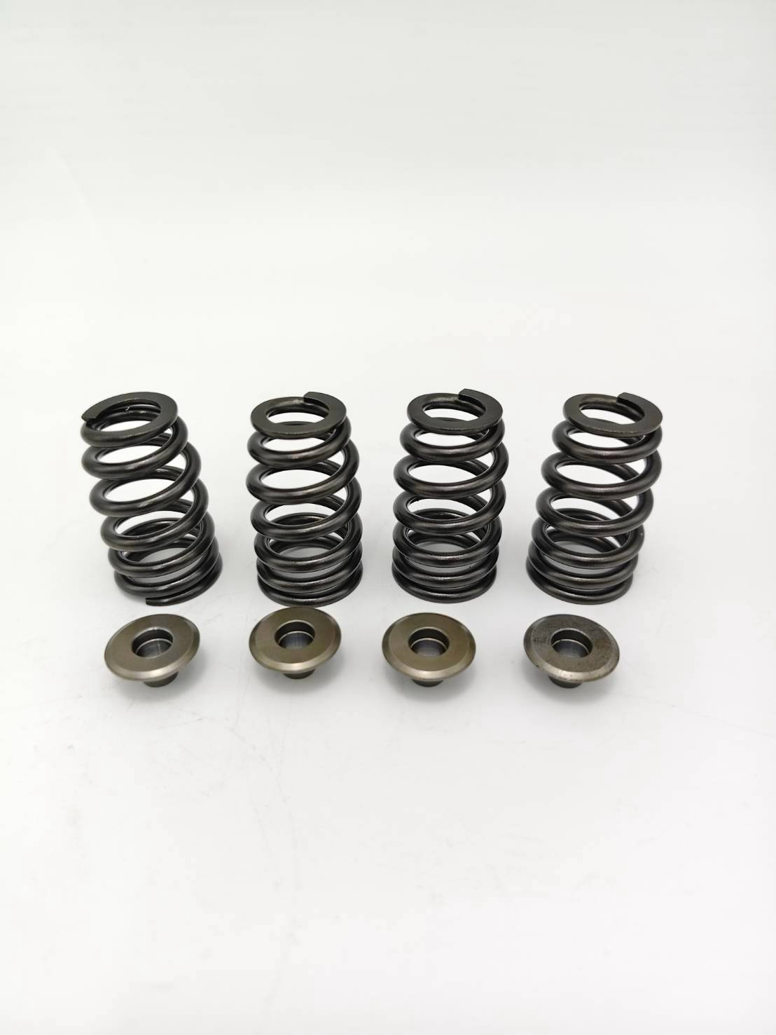 Valve Spring Kit