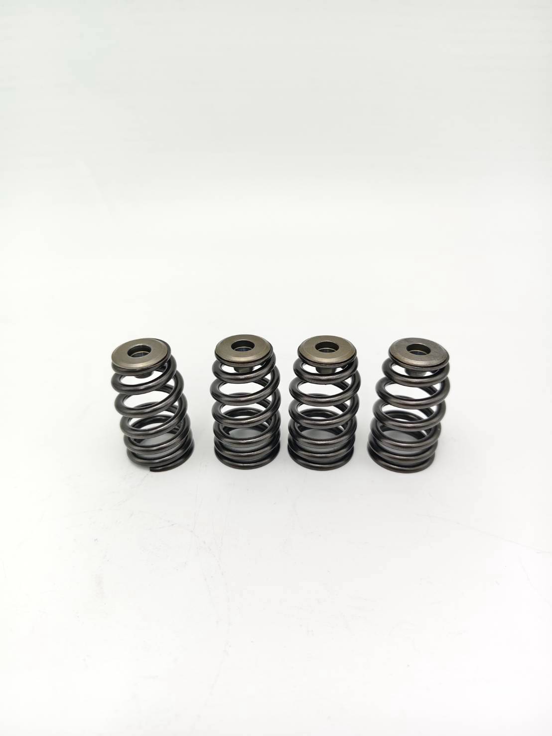 Valve Spring Kit