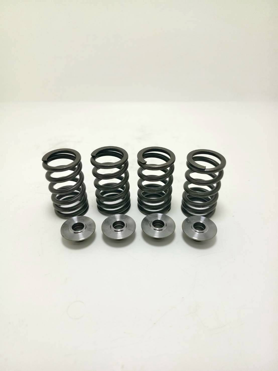 VALVE SPRING KIT